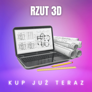 Profesjonalny rzut 3D